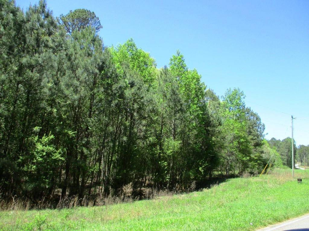 Murrayville, GA 30564,LOT 1 H Abercrombie RD