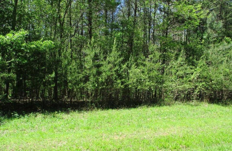 Murrayville, GA 30564,LOT 2 H Abercrombie RD