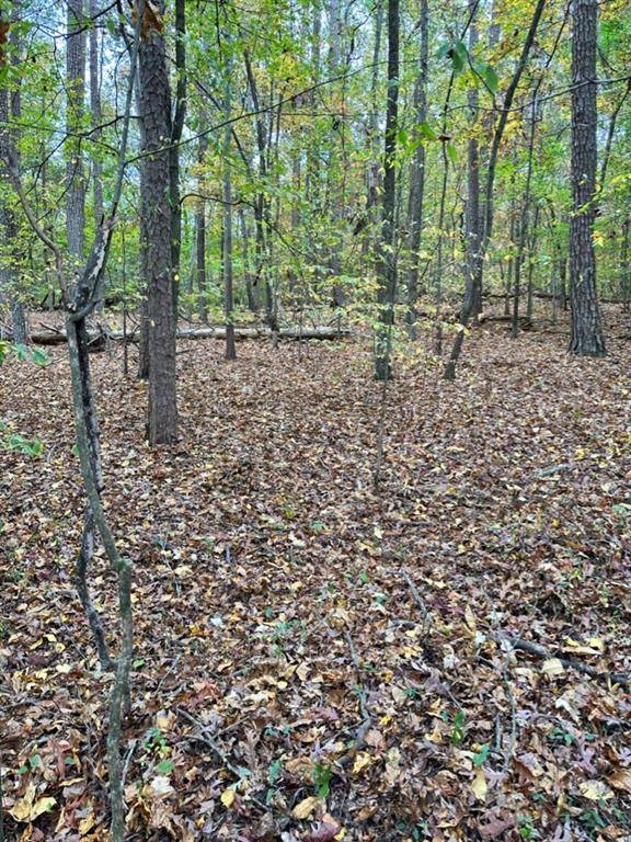 Sugar Valley, GA 30746,0 Baugh Mountain RD