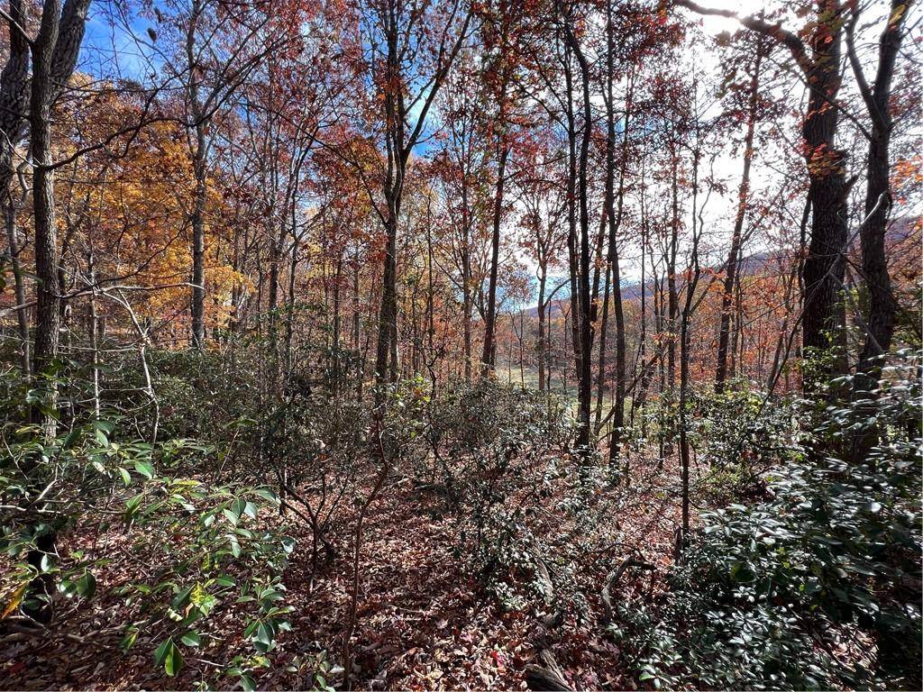 Jasper, GA 30143,0 Fairway CT