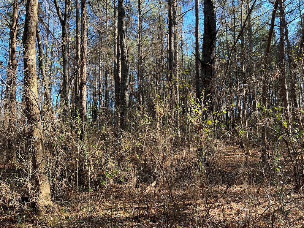 Buchanan, GA 30113,0 Monroe RD