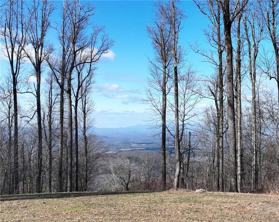 Ellijay, GA 30536,240R Andes RDG