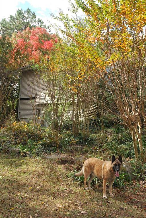 Ellenwood, GA 30294,4271 Panthersville RD