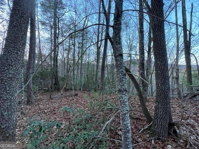 Sautee Nacoochee, GA 30571,LOT 9 Sara LN