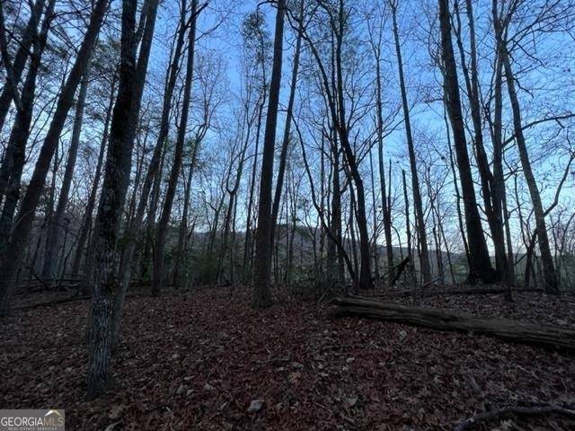 Sautee Nacoochee, GA 30571,LOT 9 Sara LN