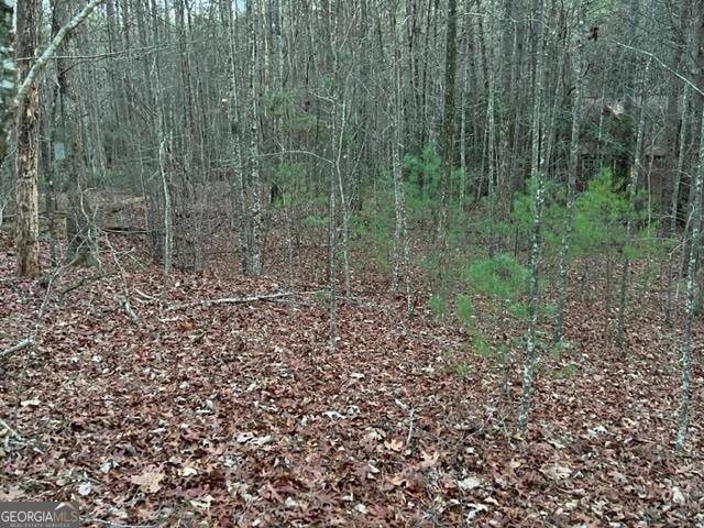 Sautee Nacoochee, GA 30571,LOT 9 Sara LN