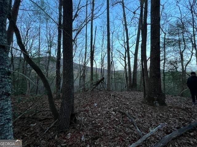 Sautee Nacoochee, GA 30571,LOT 9 Sara LN