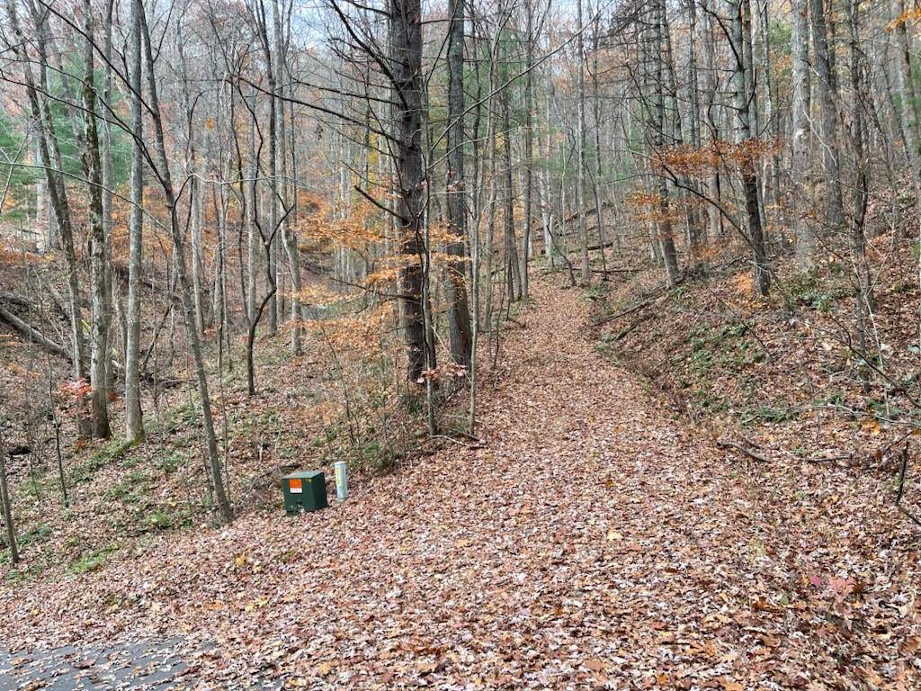 Hiawassee, GA 30546,2 White Oak Forest