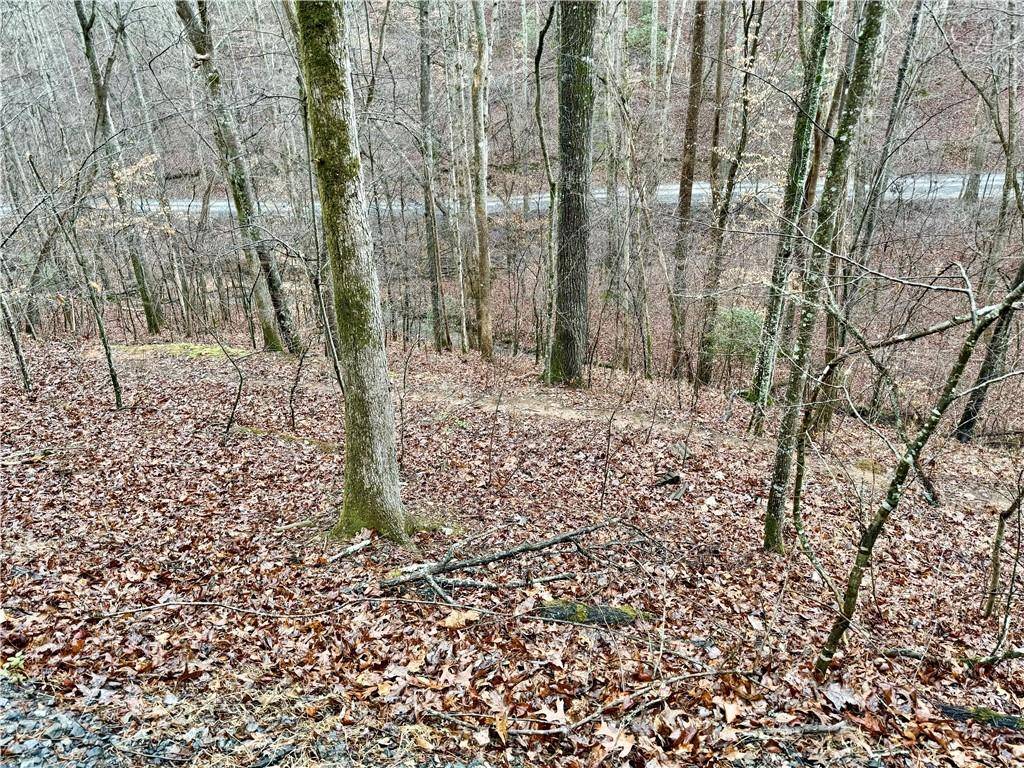 Ellijay, GA 30540,Lot222 Nemos DR