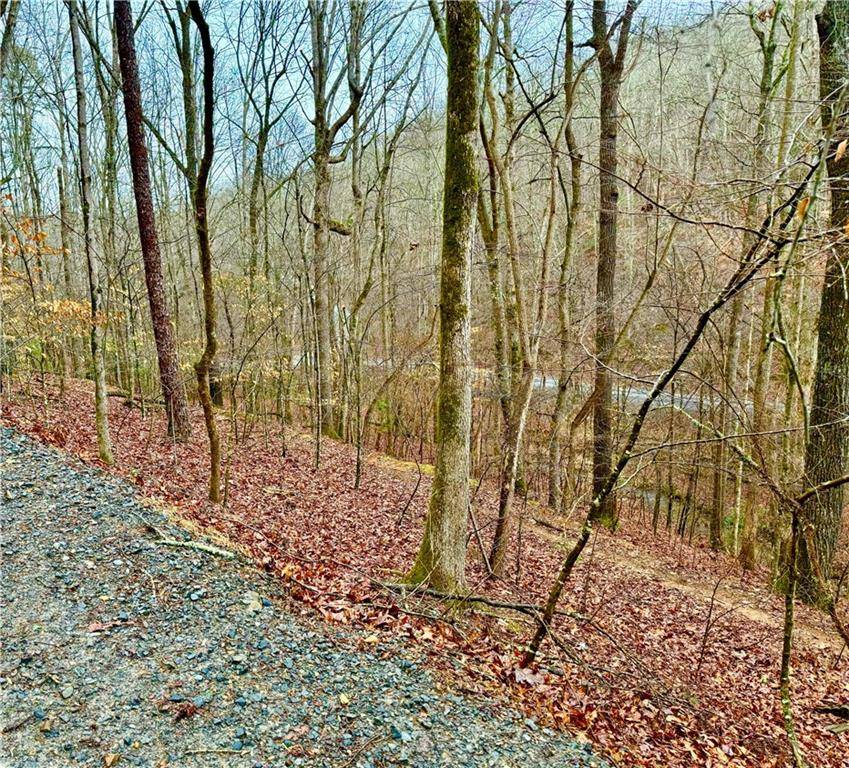 Ellijay, GA 30540,Lot222 Nemos DR