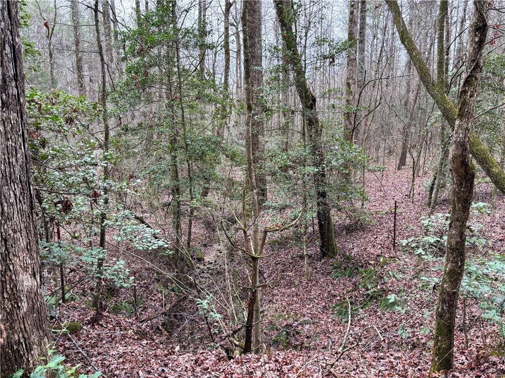 Ellijay, GA 30540,458 Charlottes Web DR