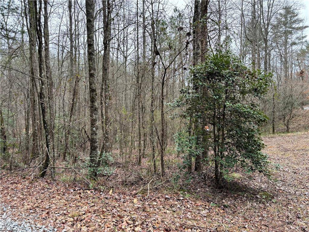 Ellijay, GA 30540,458 Charlottes Web DR