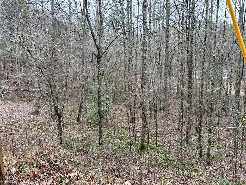 Ellijay, GA 30540,458 Charlottes Web DR