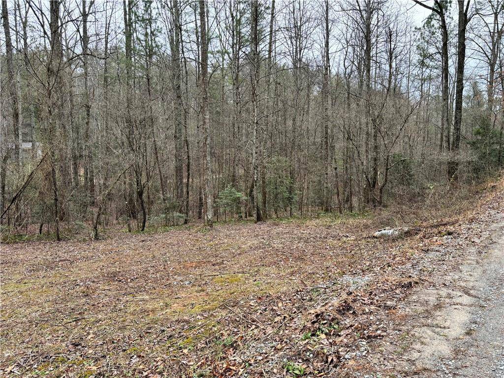 Ellijay, GA 30540,458 Charlottes Web DR