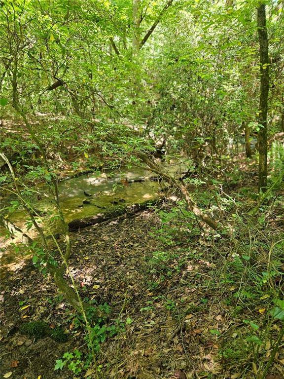 Dawsonville, GA 30534,00 Whitetrail Ridge Tract 1