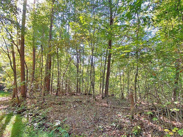 Dahlonega, GA 30533,3AC Winters Mountain RD