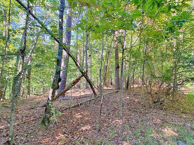 Dahlonega, GA 30533,3AC Winters Mountain RD