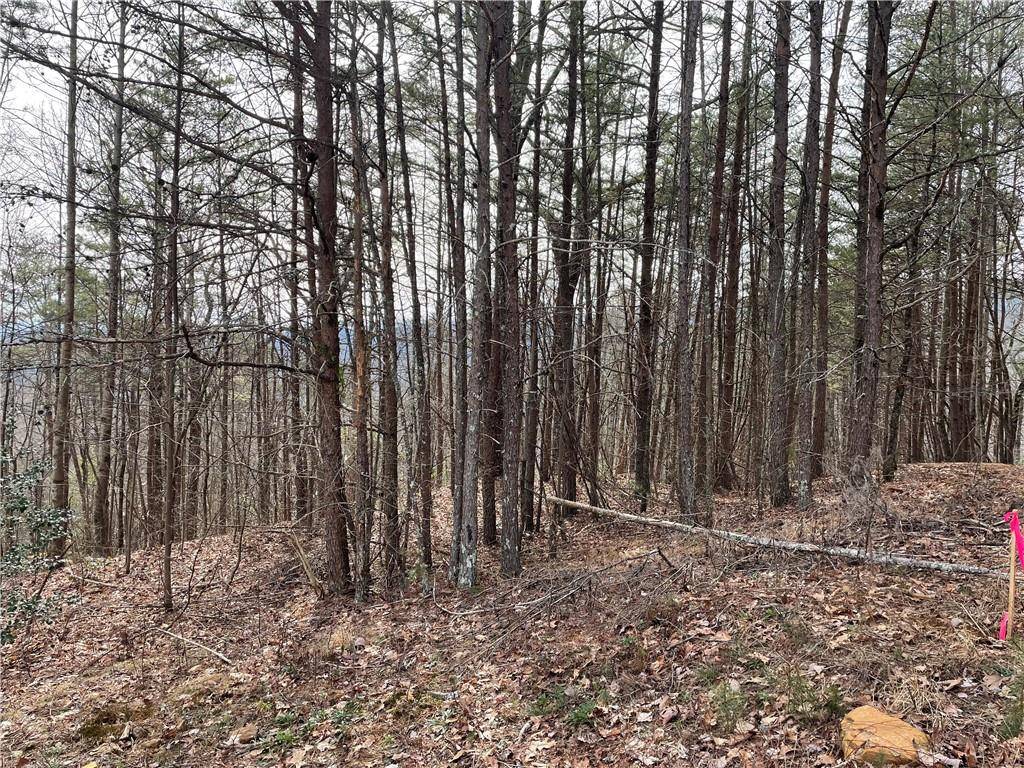 Ellijay, GA 30540,0 Mountain View RD