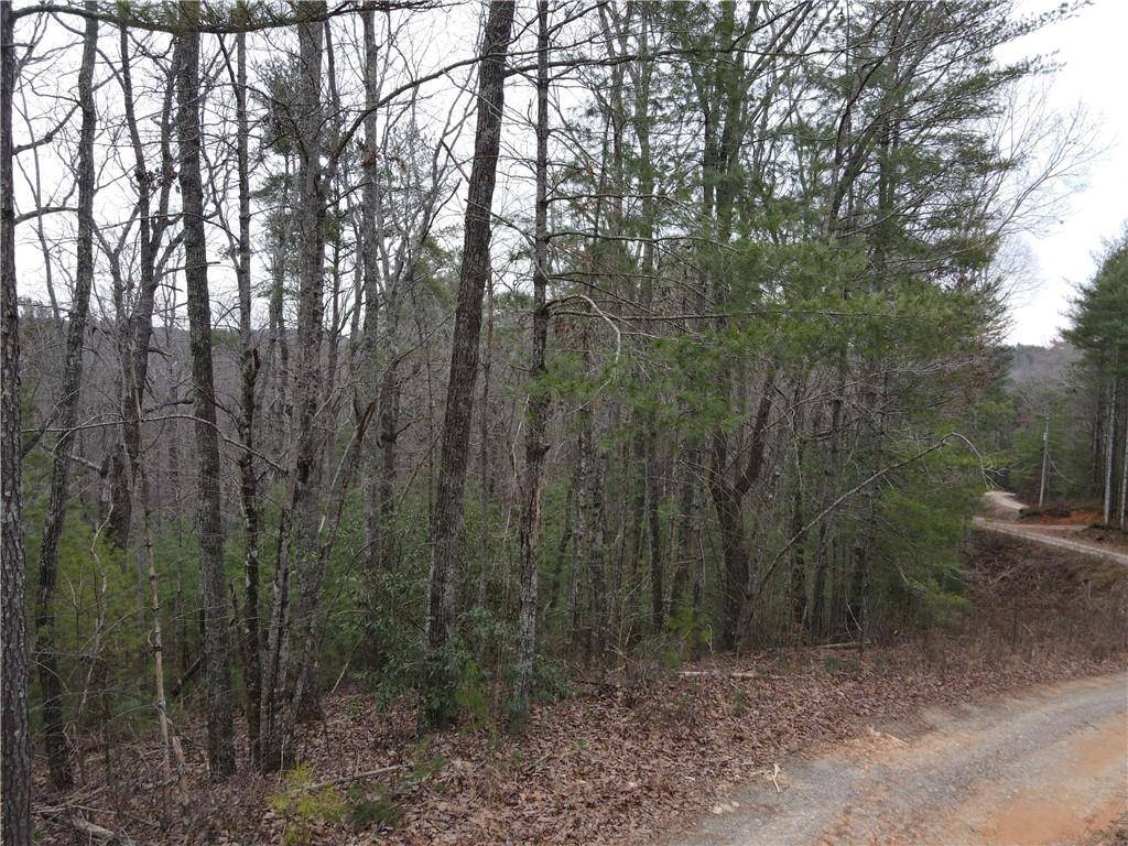 Ellijay, GA 30540,0 Double Line RD