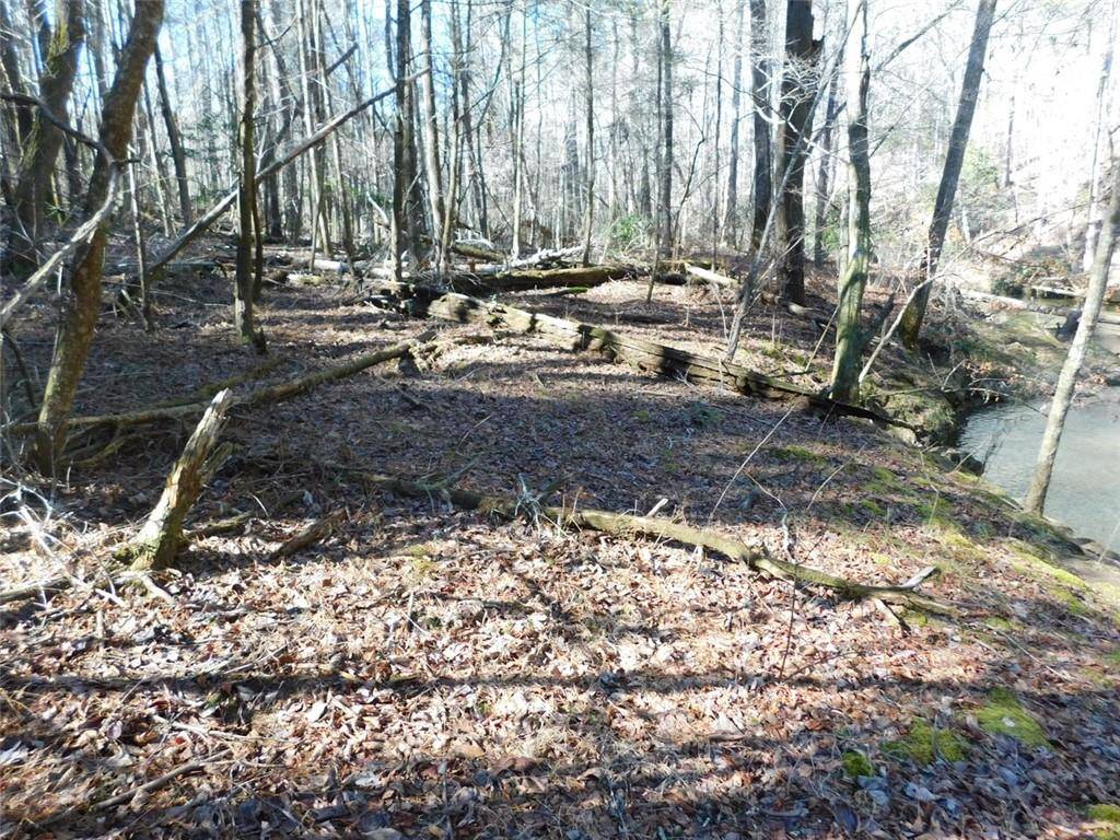 Dahlonega, GA 30533,0 Woodland Lane Tract 1