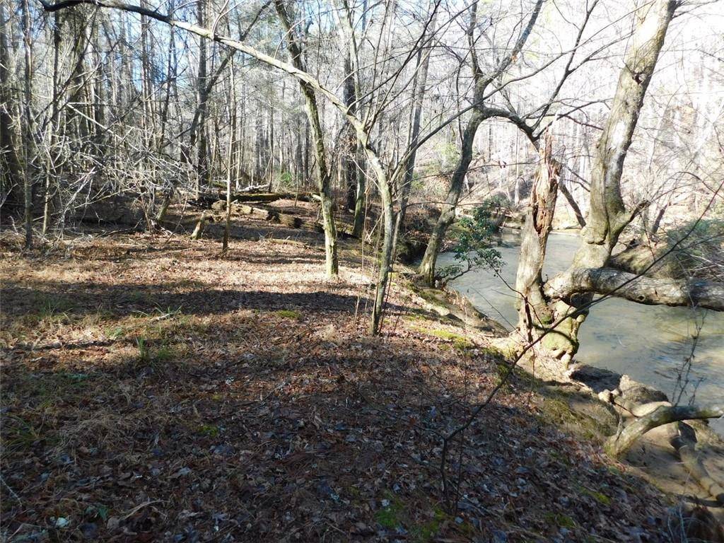 Dahlonega, GA 30533,0 Woodland Lane Tract 1