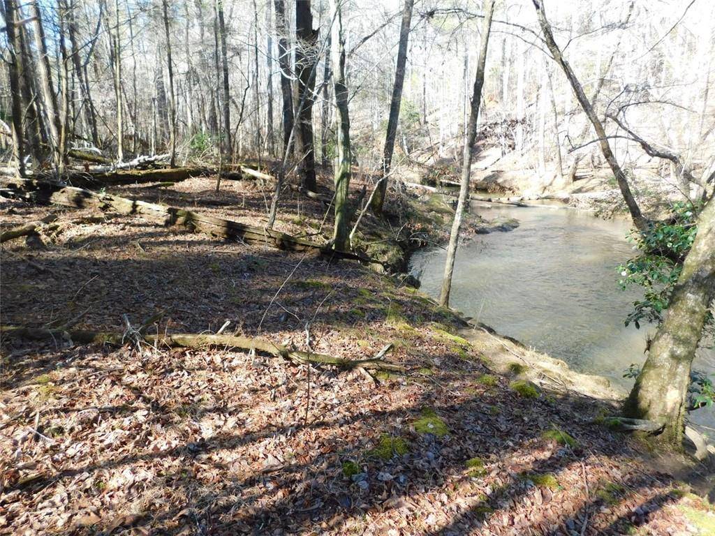 Dahlonega, GA 30533,0 Woodland Lane Tract 1