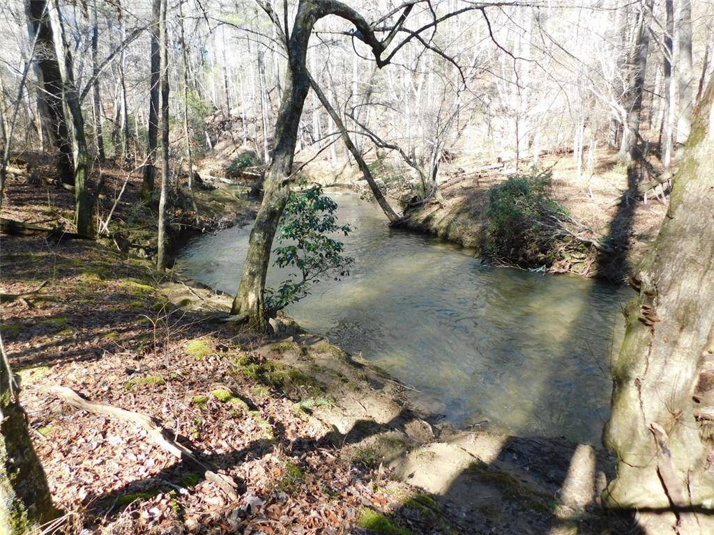 Dahlonega, GA 30533,0 Woodland Lane Tract 1