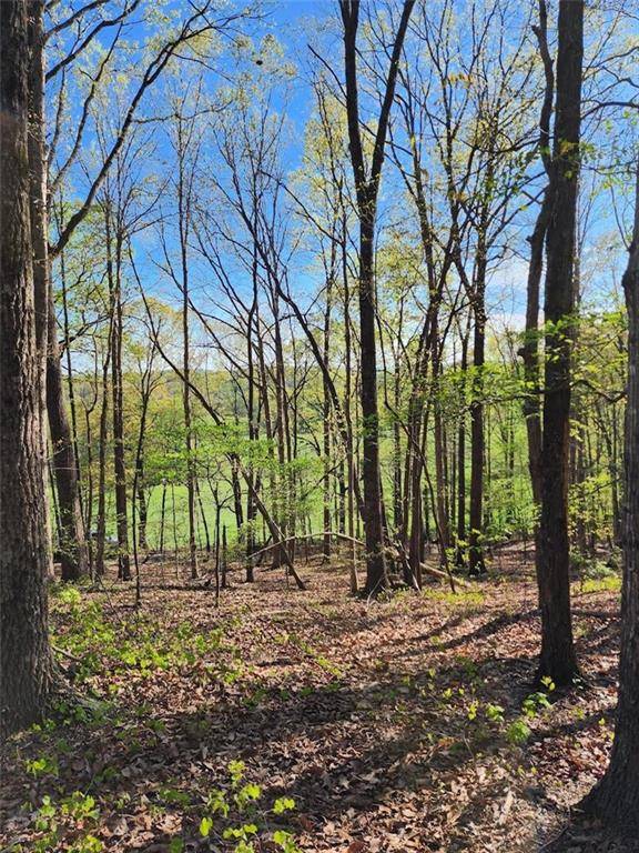 Cleveland, GA 30528,11.87 Lumpkin View DR
