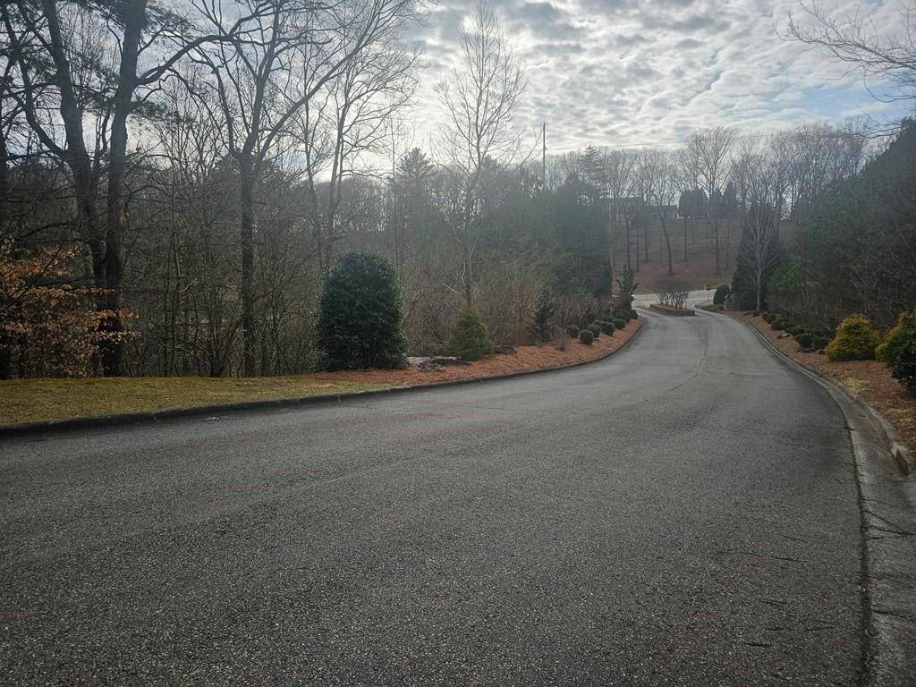 Ellijay, GA 30540,TBD The Oaks DR