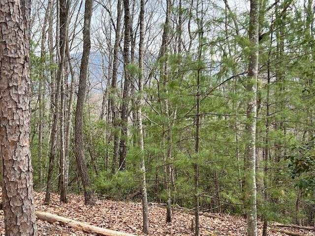 Ellijay, GA 30536,LOT 7 Marjorie AVE