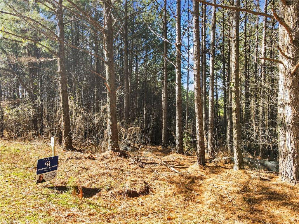 Ellijay, GA 30536,0 Foxpaw Leaf LN