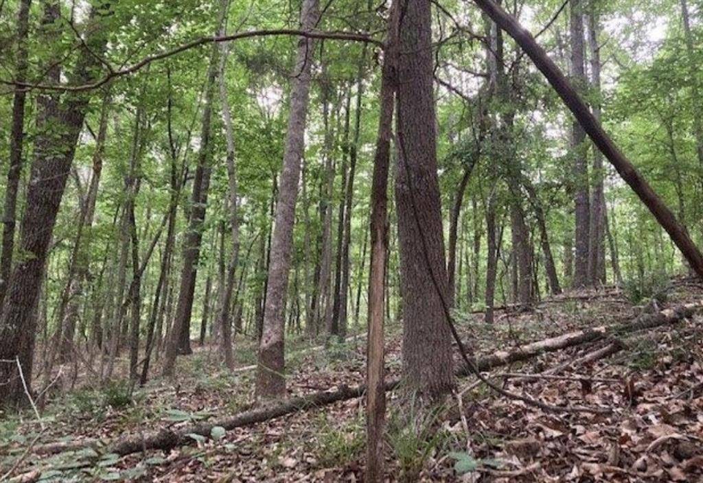 Martin, GA 30557,356 Waters Edge DR