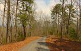 Ranger, GA 30734,1025 Raccoon Ridge RD