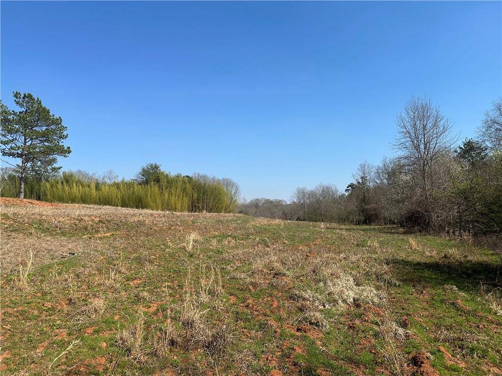 Demorest, GA 30535,0 Mineral Springs