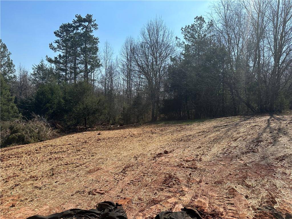 Demorest, GA 30535,0 Papa Coon Trail