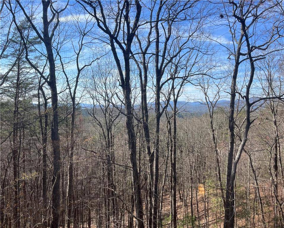 Ellijay, GA 30536,324 Walnut Mountain RD