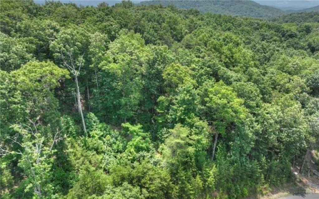 Cherry Log, GA 30522,LOT 5 Heights Overlook