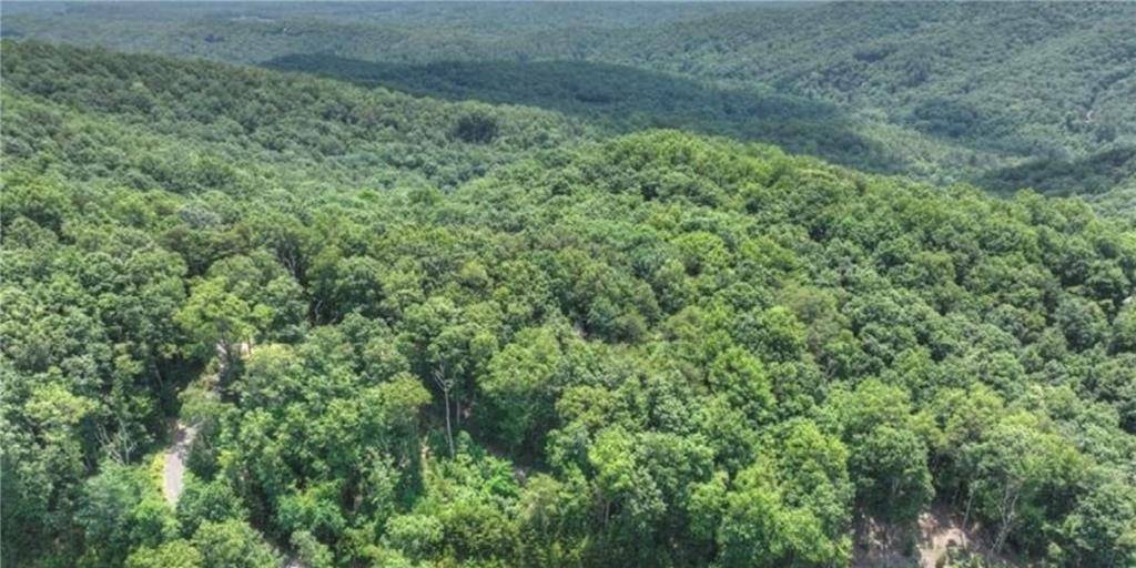 Cherry Log, GA 30522,LOT 5 Heights Overlook