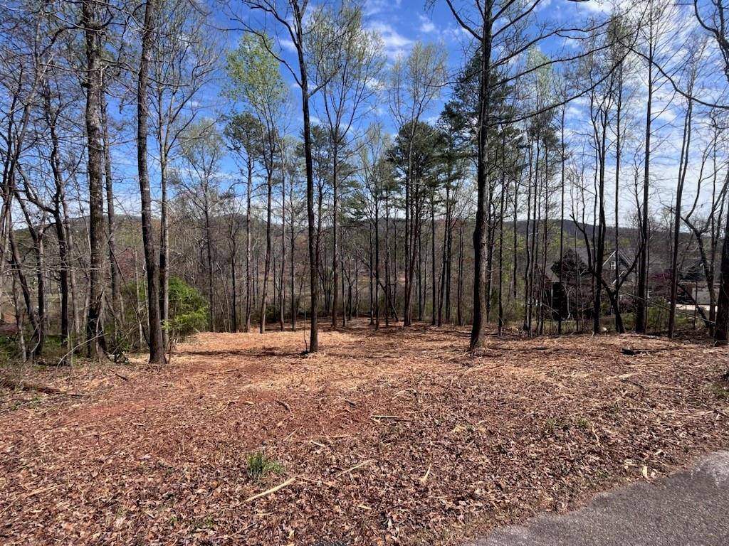 Cleveland, GA 30528,Lot 7 Jonney Thomas RD