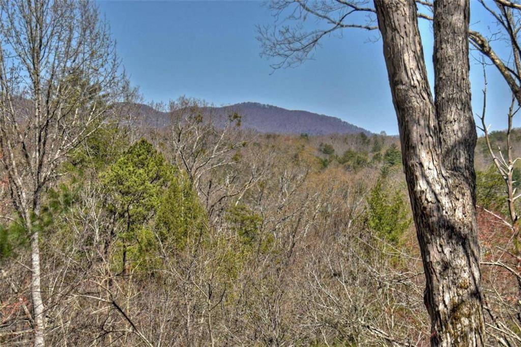 Ellijay, GA 30540,205 Pocaset DR