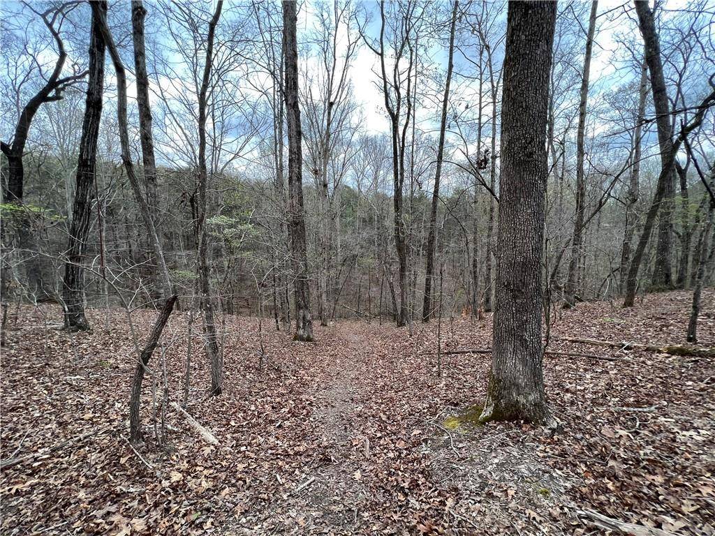 Dahlonega, GA 30533,0 Martin Byers RD