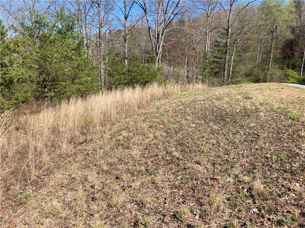 Blairsville, GA 30512,0 Cora's Way Lot 38