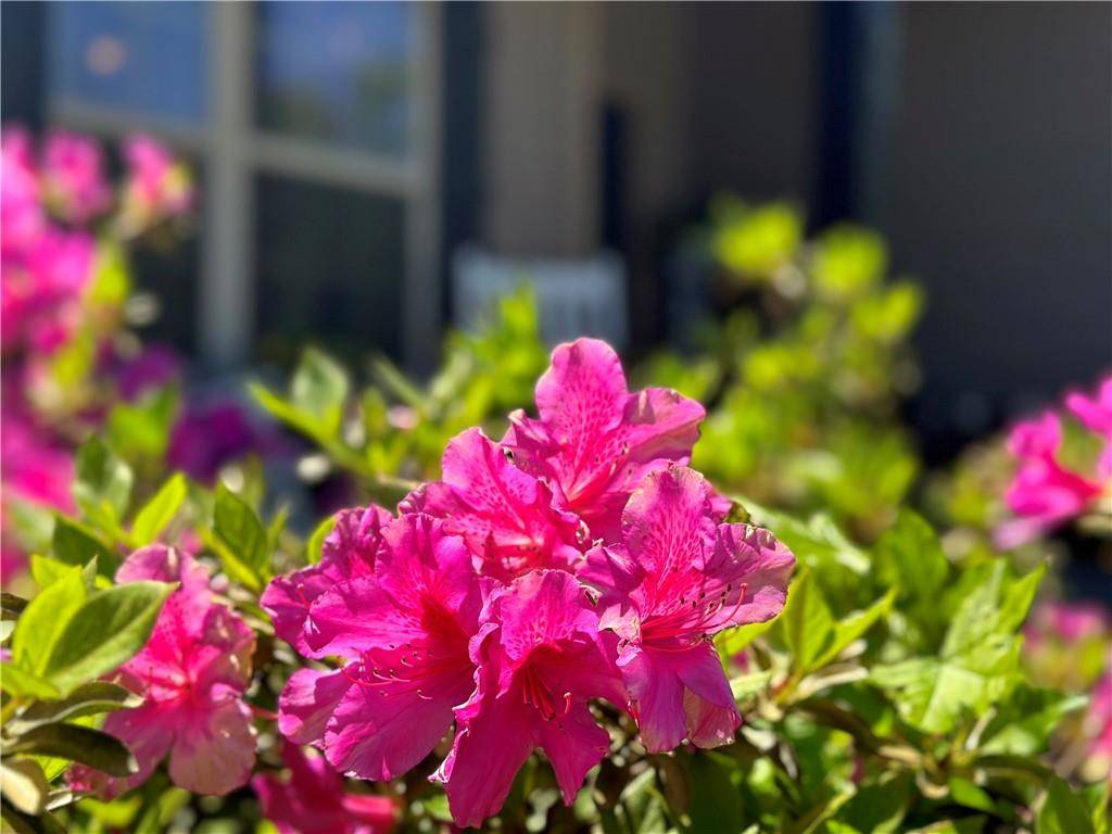 Locust Grove, GA 30248,485 Louise WAY