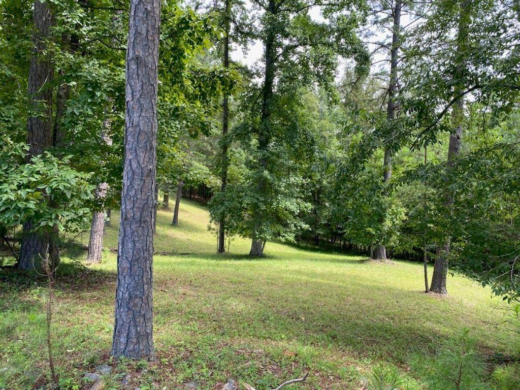 Blairsville, GA 30512,136 Fox Cove RD