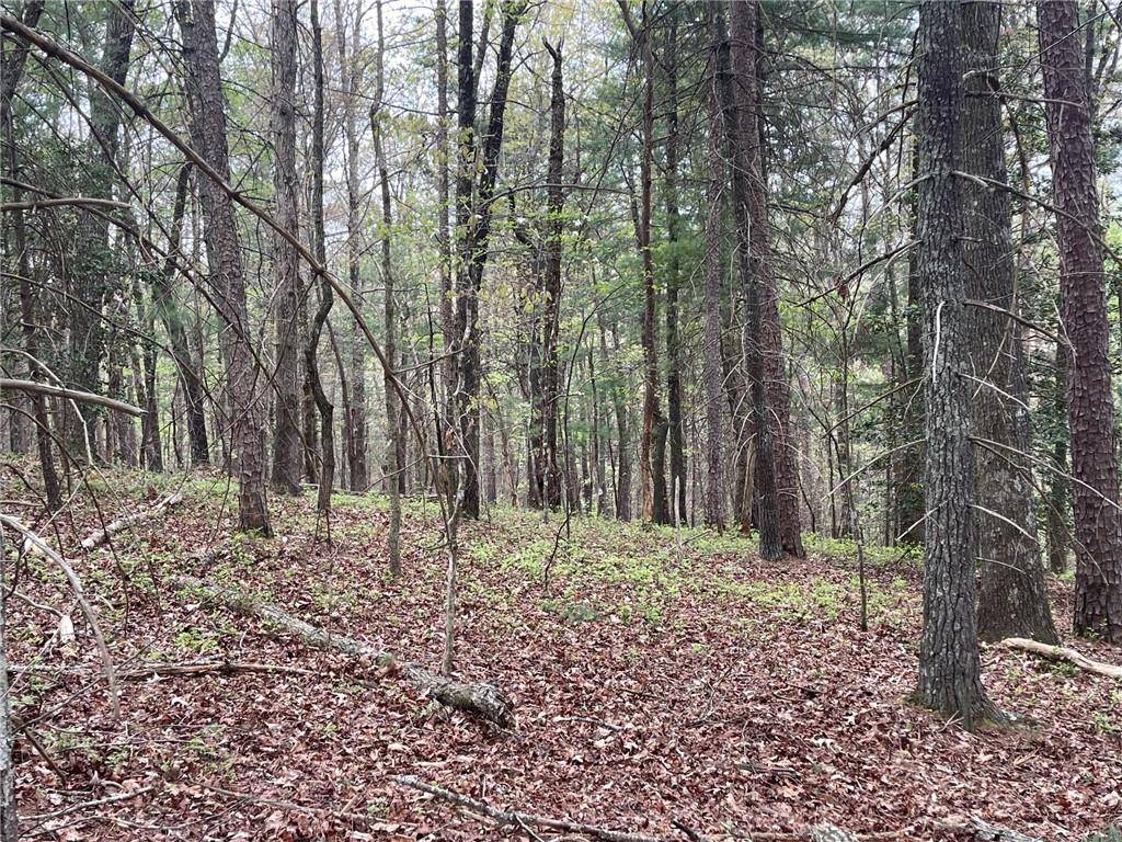 Clarkesville, GA 30523,Lot 4 Thistle DR