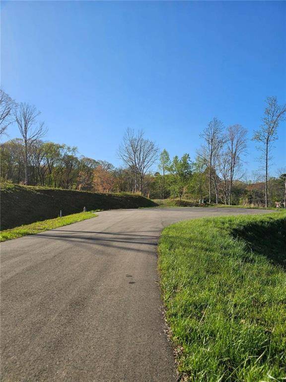 Ellijay, GA 30540,0 Cascade LN