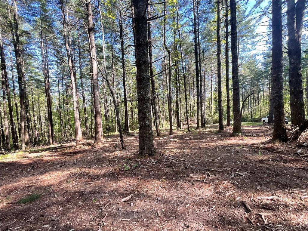 Blairsville, GA 30512,lot 46 Pleasant Meadows