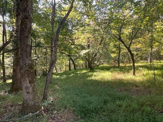 Ellijay, GA 30536,LOT 8 Clear Creek Preserve WAY