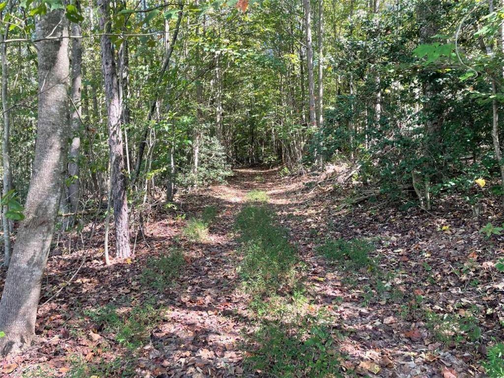 Ellijay, GA 30536,LT 15 Clear Creek Preserve WAY