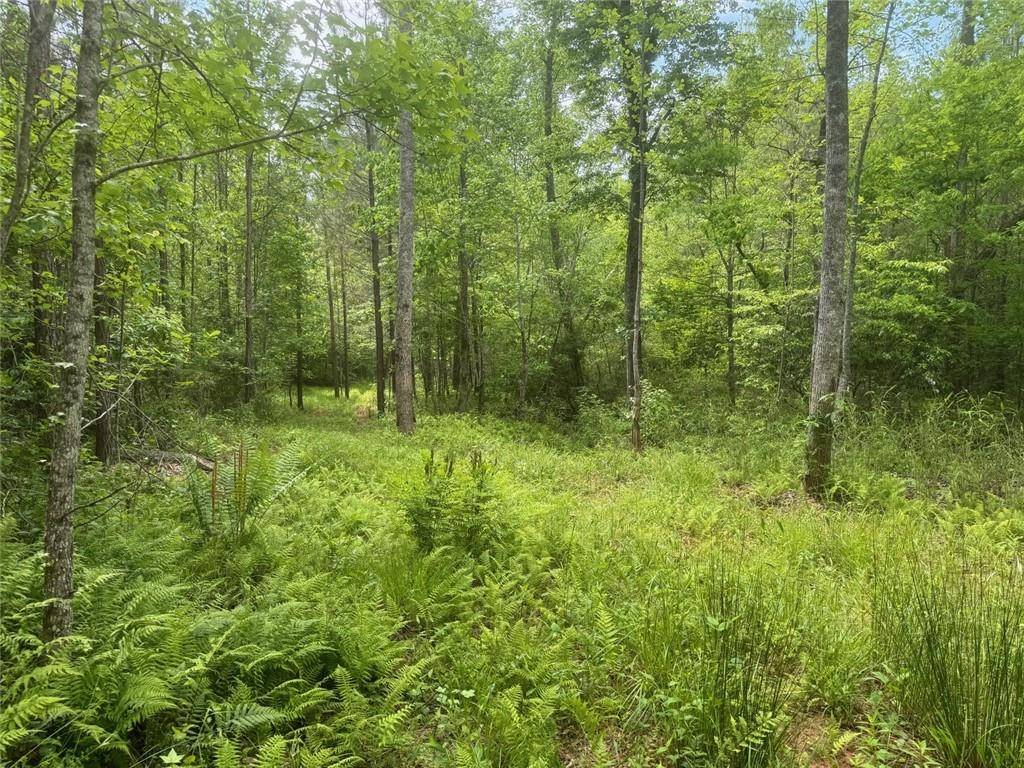 Dawsonville, GA 30534,00 Ga-136 Tract 2